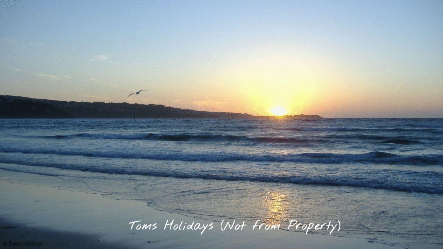 11 Strawberry Hill, Tolroy Manor Holiday home